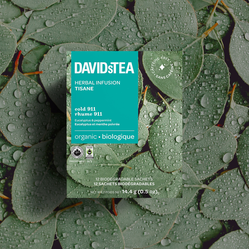 003_DavidsTea_SachetBox_GuillaumeBriere