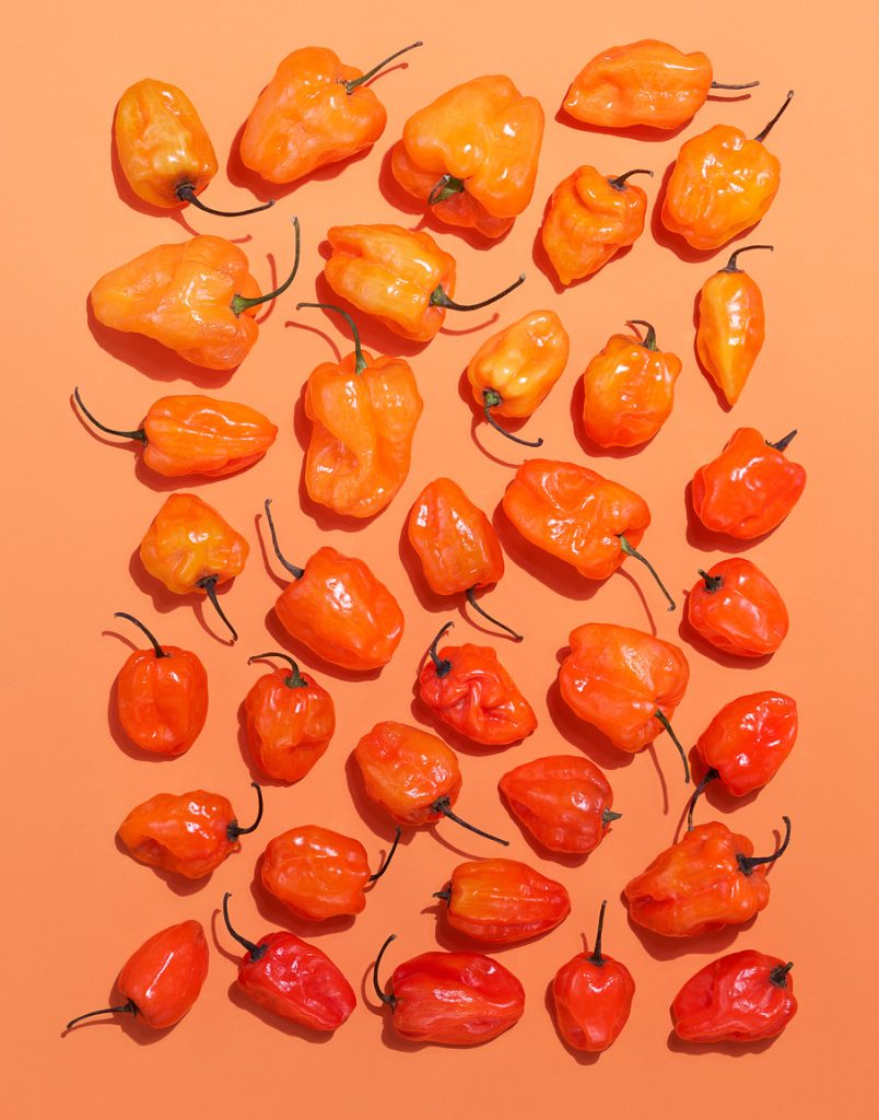 Sunburn_Peppers_v1