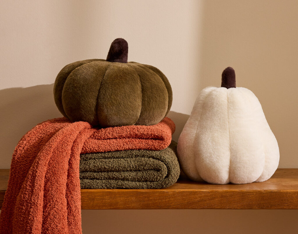 FY27_Q2_FALL_CAMPAIGN_2026_FALL_2_HOME_DECOR_05511